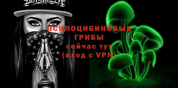 тгк Алзамай